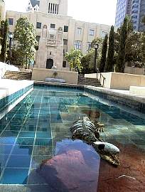 A knyvtr egy jpofa szoborral